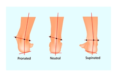 Facts About Pronation of the Feet